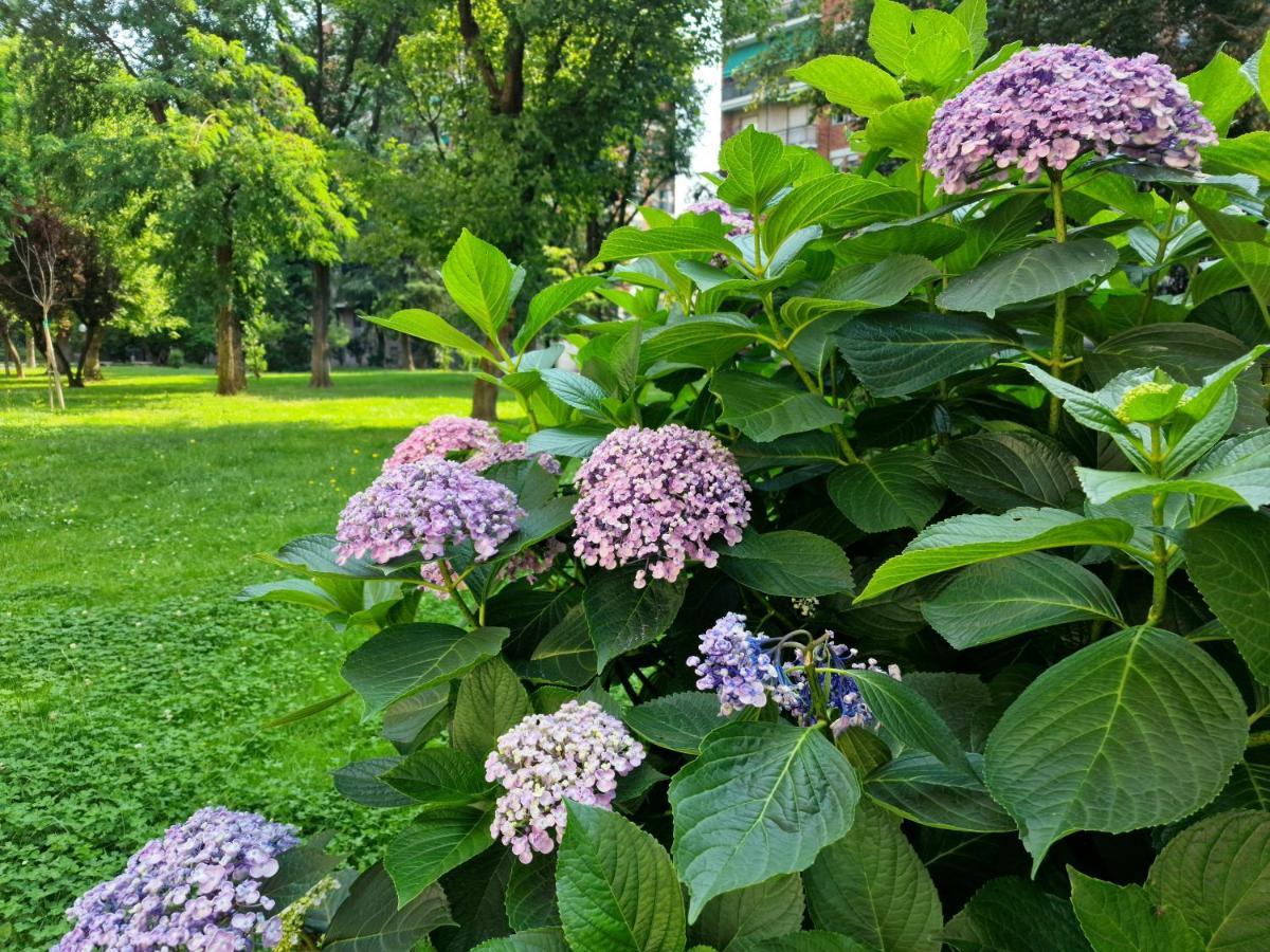 Апартаменти Giardino Sul Naviglio Мілан Екстер'єр фото